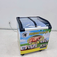 Congélateurs vitrine pour glaces et bâtonnets glacés en promotion, 280L/350L/450L, avec porte vitrée incurvée