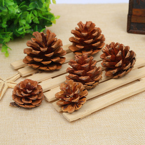 Adorno Navideño Colgante AYOYO con Forma de Piña, Decoración Creativa con Flores Secas y Piña - Product Image 1