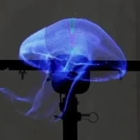 Pantalla LED Digital Holográfica 3D de Alta Resolución 1280x1280, 65cm, para Interiores, Educación, Control en la Nube, WiFi, con Función de Empalme 1x3