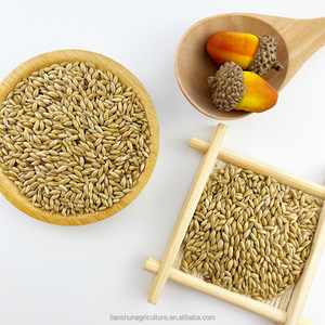 Fabriek Groothandel Alpiste Vogelzaad Voor Canari Geel-Rij Groenvink Bulk Kanarie Zaadprijs - Product Image 4