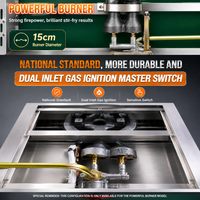Friteuses à gaz professionnelles en acier inoxydable pour table, double cuve 6L, friteuse à gaz propane pour restaurant