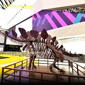 Mi Dino DS600 <span class=keywords><strong>esqueleto</strong></span> de dinosaurio <span class=keywords><strong>Stegosaurus</strong></span> museo de fósiles de dinosaurio en venta - Product Image 1