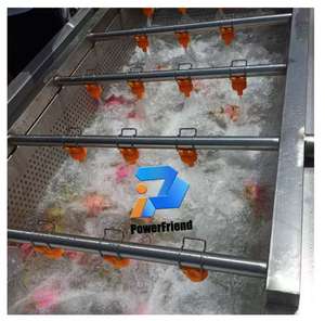 เครื่องล้างผักใบมะกอกผักชีฝรั่งผักผลไม้ - Product Image 2