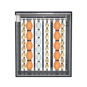 Incubateur automatique d'œufs de volaille, 90%, 36 œufs