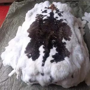 หนังผ้าขนกระต่ายแท้
