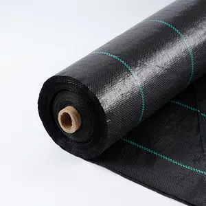 Arden: LOTH, EED, en el Fabric, ulch, ILM - Product Image 1