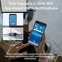 Neo Smart Home moderne ABS WiFi vanne d'eau contrôle minuterie Mobile télécommande interrupteur alimenté par batterie NAS-WV07W compteur d'eau consommation
