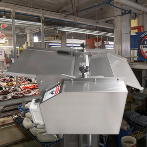 Máquina para Procesar Pescado y Despellejar Pescado Congelado, Alta Eficiencia, Gran Capacidad, Semiautomática, de Acero Inoxidable 304 - Product Image 5