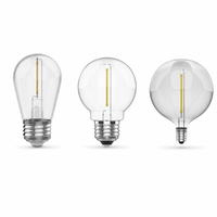 Ampoule à filament LED de haute qualité G16.5 S14 1 filament 1W 70lm 2200-6500K CRI 90+ pour guirlande lumineuse