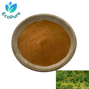 Flavonoides de Alta Pureza de Cuscuta <span class=keywords><strong>Chinensis</strong></span> 10% Pó Natural de Flavonoides de Semente de Dodder - Product Image 1