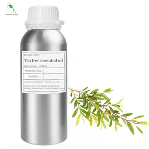 Producteur d'huile essentielle naturelle, huile essentielle d'arbre à thé australien biologique 100% pure pour l'aromathérapie de qualité thérapeutique.