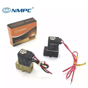 2/2 Way 2P Series Plastic Brass Direct Acting Normally Closed Mini Water Solenoid Valve 2P025-06 2P025-08