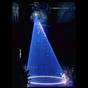 Láser boda 1W 2W 3W 5W 10W Proyector láser fiesta Disco escenario animación Lazer Dj luz láser para discoteca boda - Product Image 4