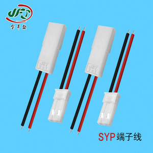 Jst Syp 2P Extension Cable 2.54mm DuPont Wire For Ev Connectors - Product Image 4