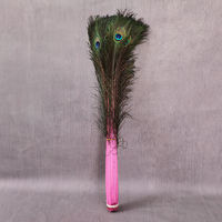 Éventail décoratif en plumes de paon colorées, idéal pour événements, scènes, costumes, carnavals et fêtes - Grande Vente