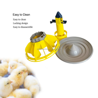 Système d'alimentation automatique pour poulets de chair de la ferme avicole Yyc, de la naissance à l'adulthe