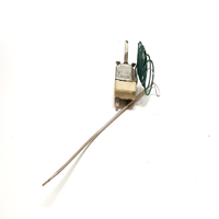 Termostato Plc 55.19059.831 300°C 1126.4 Suministro a Granel