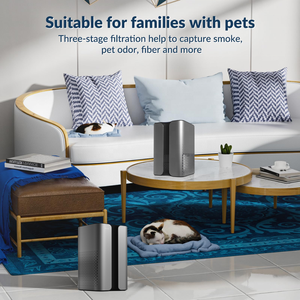 HASHONE 宠物桌面空气净化器 <span class=keywords><strong>HEPA</strong></span> H13 活性炭低噪音便携式空气净化器香薰机家用空气净化器 - Product Image 6