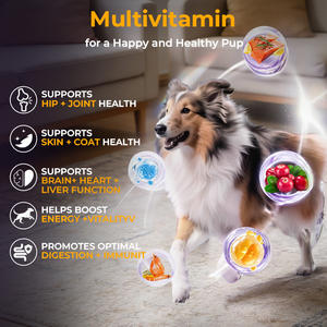 דוגמית חינם של תוסף תזונה לחיות מחמד, טבליות מולטי ויטמין לחיות מחמד, מספקות ויטמינים ומינרלים חיוניים, מולטי ויטמין לכלבים עם MSM - Product Image 2