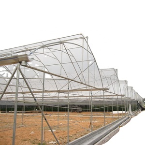 <span class=keywords><strong>Serre</strong></span> fixe à dents de scie pour l'agriculture tropicale pour la culture de légumes/laitue/<span class=keywords><strong>salade</strong></span>/céleri/concombre/aubergine/tomate/fleur/herbe - Product Image 2