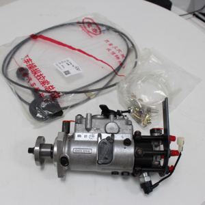 Pompa Injeksi Bahan Bakar CAT 3056E 10R-9695 10R9695 Pompa Bahan Bakar Rekondisi untuk Caterpillar - Product Image 6