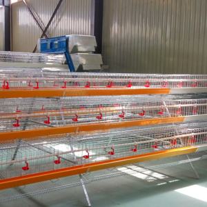 Vendita calda automatica gabbie per pollame di pollo a caldo zincato a basso costo a strati di uova gabbia di pollame fattoria Design gratuito - Product Image 2