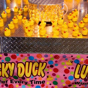 Juego de Carnaval Lucky Duck, Juego Interactivo de Estanque de <span class=keywords><strong>Patos</strong></span> para Fiestas, Parque de Diversiones para Niños y Adultos, PVC para Exteriores - Product Image 6