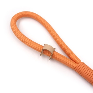 Prodotti di tendenza tik <span class=keywords><strong>tok</strong></span> fibbia in oro 2025 guinzaglio arancione porta cacca per cani dispenser in velluto personalizzato collare per cani da addestramento - Product Image 2