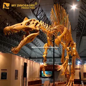 MyDino डायनासोर कंकाल Spinosaurus कंकाल के लिए बिक्री