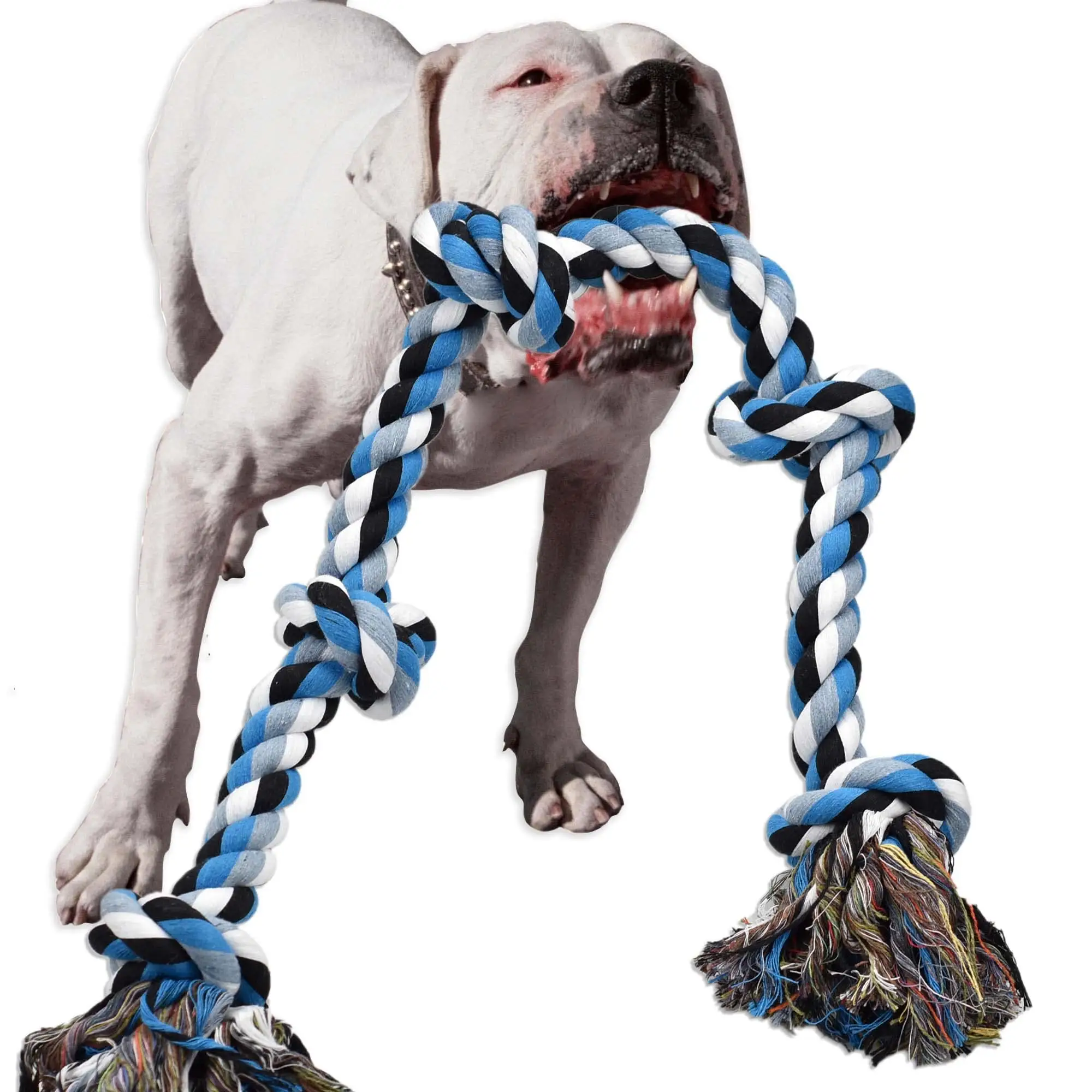 Unipopaw durable interactif giocattolo per cani in corda di cotone intrecciata colorata coloré tissé coton corde chien jouet
