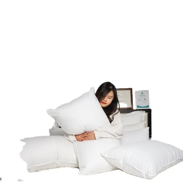 Almohada de plumas de ganso/pato lavadas de diferentes tamaños, cama para dormir saludable, cojines suaves y cómodos para sofá