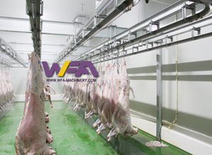 Ligne d'équipement d'abattage automatique des moutons, convoyeur de transformation de la viande, transformation alimentaire <span class=keywords><strong>halal</strong></span> internationale, <span class=keywords><strong>abattoir</strong></span> de moutons 500 - Product Image 4