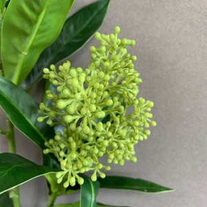 LO-1137 Branche artificielle de Skimmia Japonica, <span class=keywords><strong>tige</strong></span> <span class=keywords><strong>verte</strong></span> à double bourgeon avec baies artificielles pour vase Wabi Sabi et <span class=keywords><strong>d</strong></span>écoration minimaliste de la maison - Product Image 3