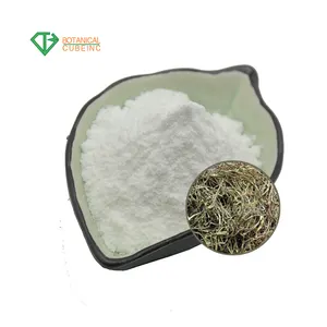 Chất lượng cao trắng liễu vỏ chiết xuất salix alba 15%-98% salicin