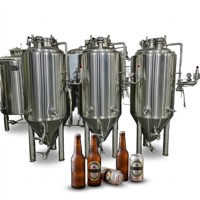 Fermenteur cylindroconique 1000L, cuve à bière 500L, équipement de brasserie artisanale, fermenteur pour bière artisanale