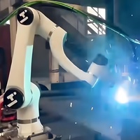 Robot de soudage haute précision Huayan Elfin E15, charge utile de 15 kg, acier inoxydable, IP66, moteur, boîte de vitesses, PLC, pour soudage MIG/MAG