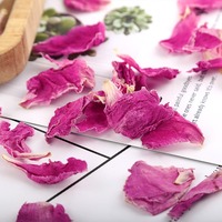 Pétales de pivoine rose séchés en gros, matière première pour tisane, Mu Dan pour infusions