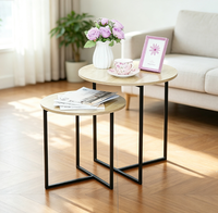 Ensemble de 2 tables basses gigognes rondes, tables d'appoint pour salon, chambre, balcon, cour