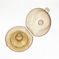 Coussinet d'allaitement en silicone sans BPA Tétine portable et bouclier de mamelon argenté pour bébé de 0 à 12 mois Couvre-mamelon d'allaitement