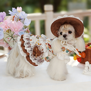 Vestido de Princesa Lolita Vintage de Lujo para Mascotas, con Encaje y Volantes, Gorro, para Gatos y Perros Pequeños, Estilo Dulce y Lindo, para Uso Diario - Product Image 1