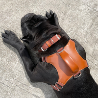 Harnais pour chien Airtag personnalisé stocké concepteur ensemble collier et laisse de suivi pour animaux de compagnie en cuir PU recyclé de luxe en usine