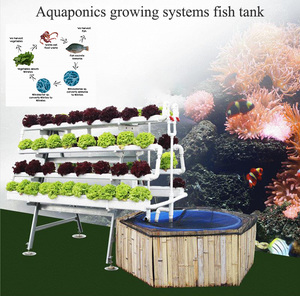 Système de Culture Aquaponique : Bassins <span class=keywords><strong>pour</strong></span> Fermes Piscicoles, <span class=keywords><strong>Serre</strong></span> Hydroponique, Aquarium <span class=keywords><strong>pour</strong></span> Poissons et Légumes - Product Image 3