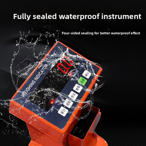 2 Ton Weighting Hydraulic <b>Pallet</b> Truck Material Handling Equipment - Product Image 3