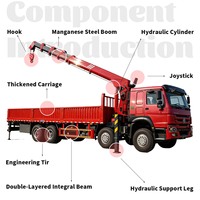 Grue hydraulique robuste montée sur camion pour les projets de levage en construction et en industrie