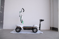 Nouveaux modèles de produits : chariot de golf, scooter de golf, chariot électrique