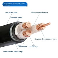 Cable de Alimentación para Estación de Carga de Vehículos Eléctricos PrimePro YJV 3x35mm2 |   Cable de Infraestructura de Alta Resistencia con Aislamiento XLPE de Cobre Puro de 0.6/1kV