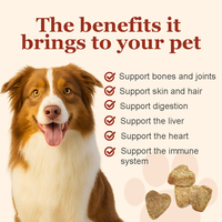 Comprimés à mâcher probiotiques personnalisés pour chiens, marque privée, complément alimentaire pour allergies et système immunitaire, pour la santé intestinale, également pour chats