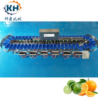 Continue werkende doosvormige gewichtssorteermachine Betrouwbare weegmodule voor het sorteren van fruit, noten en zeevruchten in batches