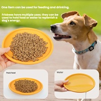 Jouet d'entraînement interactif pour l'extérieur, léger, imperméable, disque volant flottant, jouet durable en caoutchouc pour chien