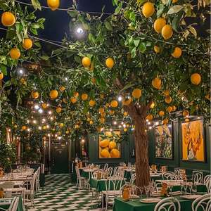 ต้นมะนาวปลอม QQ324 ขายดี ตกแต่งสไตล์อิตาลี เหมาะสำหรับตกแต่งเพดานโรงแรม - Product Image 2